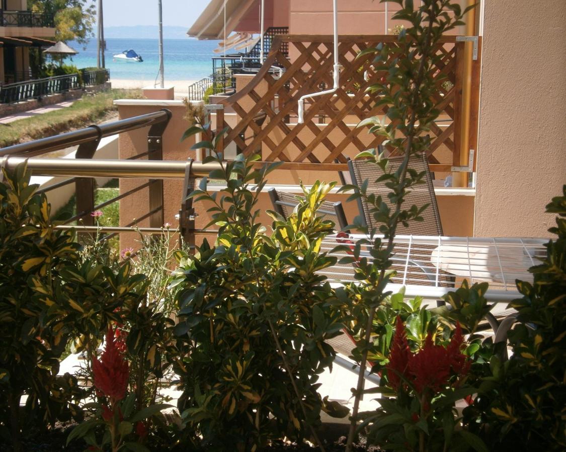 Dafni'S Seaside Luxury Studios Nikiti  Buitenkant foto